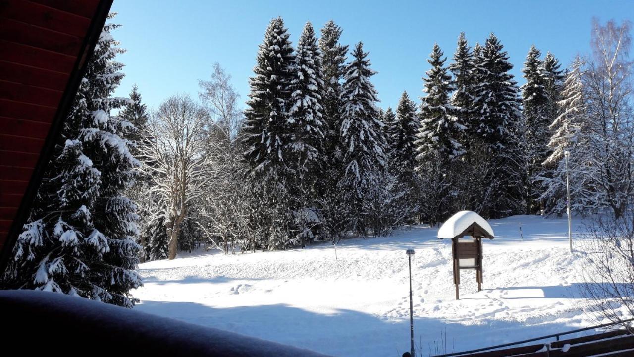 Apartman Bile Labe Spindleruv Mlyn Exterior photo